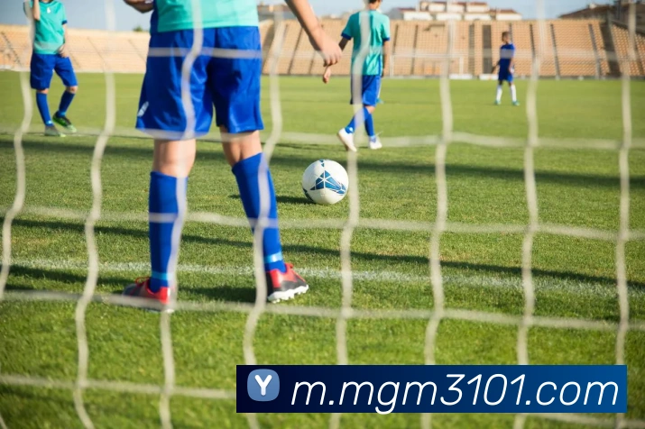 多媒体互动体验